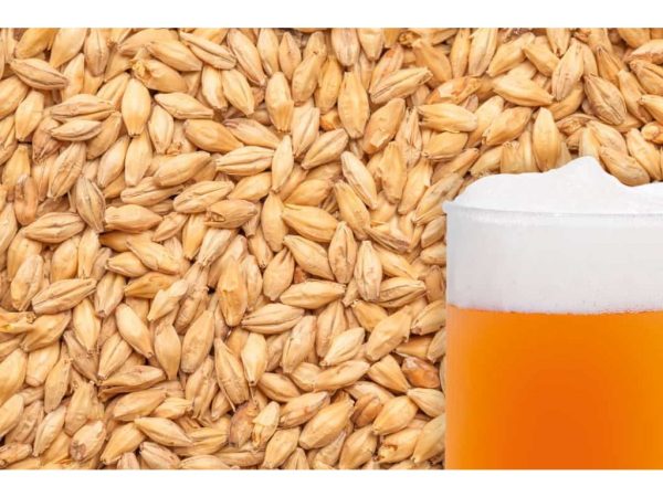 slad BEST PALE ALE 1kg